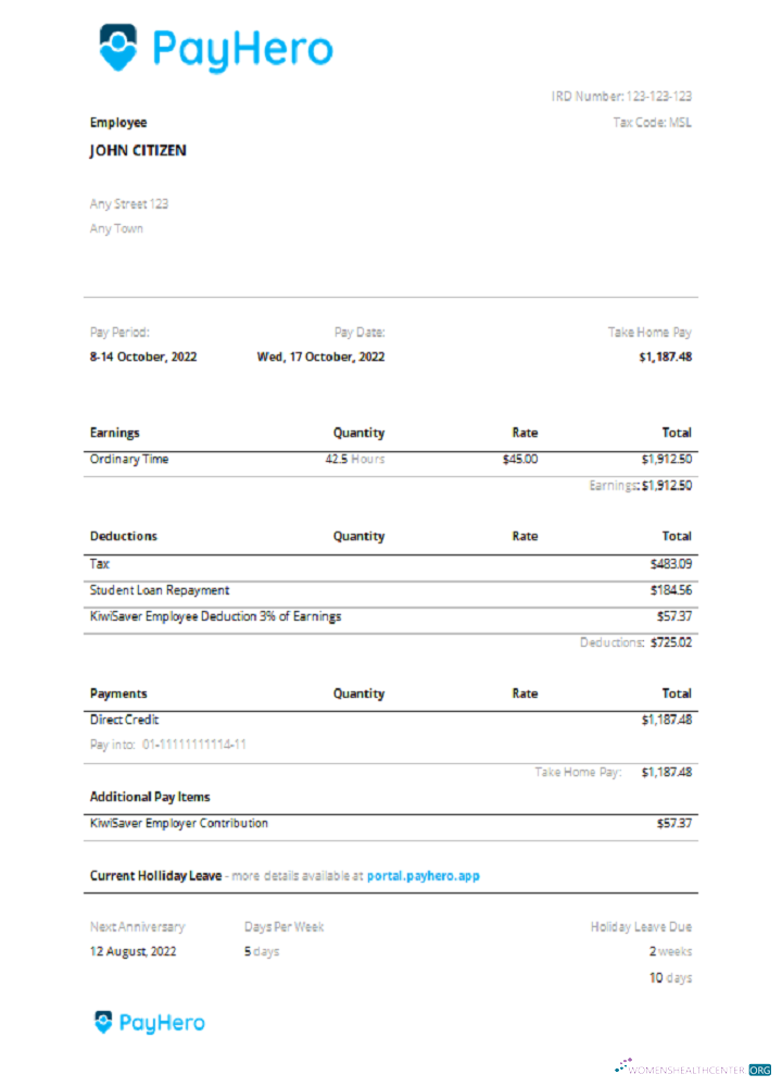 Download USA PayHero financial company pay stub Photoshop template